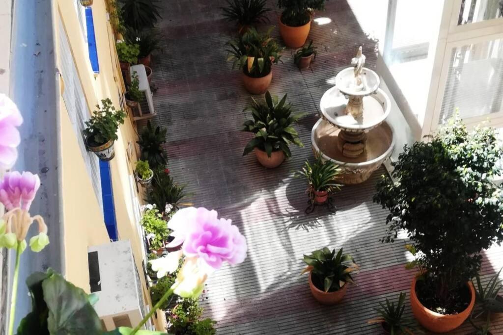 セビリアEl Patio De San Bernardoアパートメント エクステリア 写真