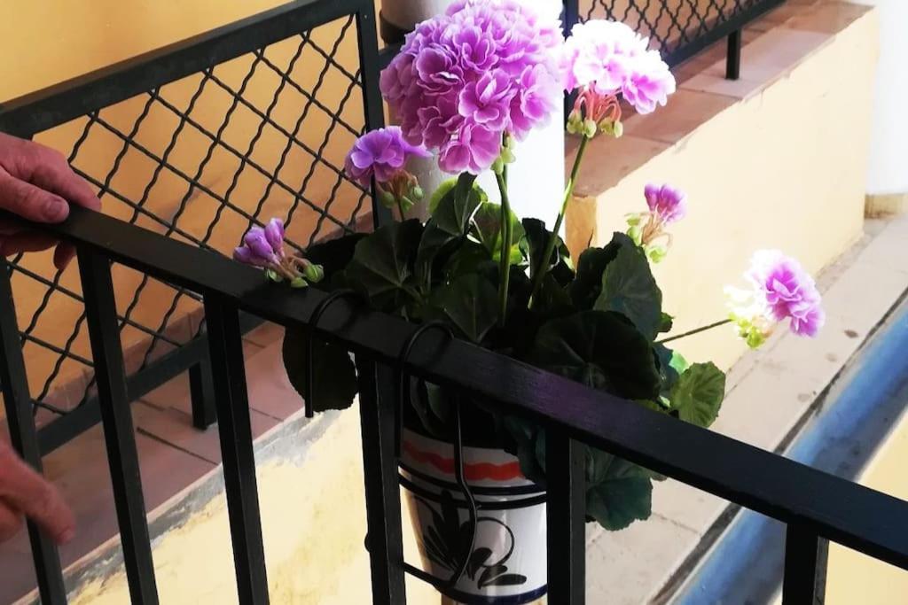 セビリアEl Patio De San Bernardoアパートメント エクステリア 写真